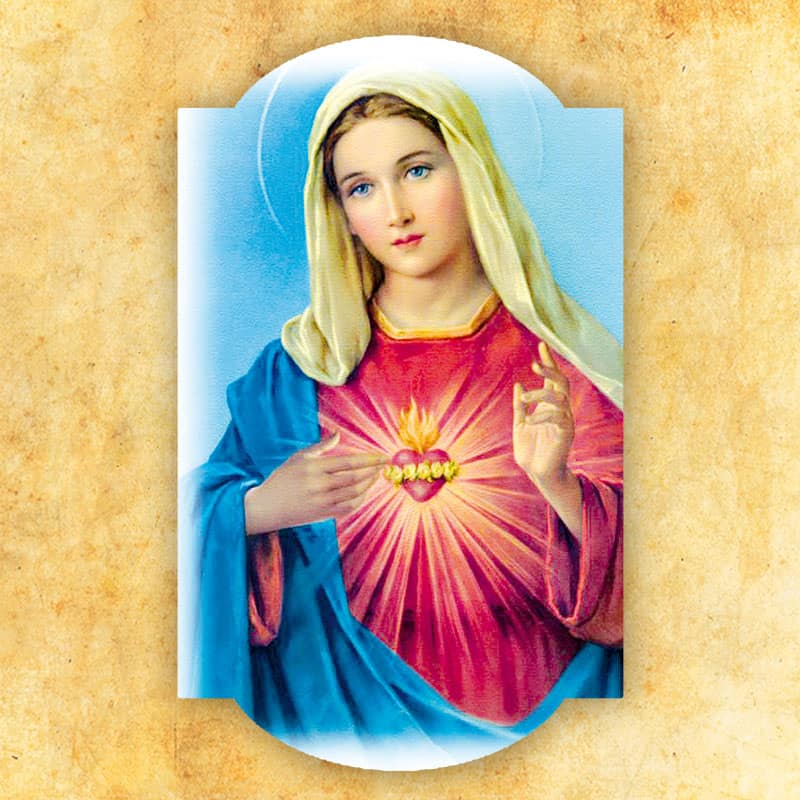 Großes Ornament auf Stoff "Jungfrau Maria"
